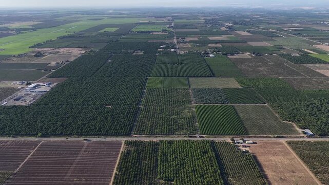 Yuba City fruit orchards and agricultural farm fields forming a vast geometric patchwork in California's Central Valley