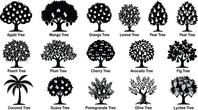 Fifteen black silhouette fruit tree featuring apple, mango, orange, lemon, pear, peach, plum, cherry, avocado, fig, and coconut trees