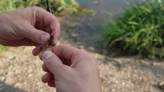 Close-up 4K 60fps footage of a fisherman putting a live worm on a fishing hook beside a pond. Detailed outdoor fishing scene showing hands preparing natural bait before casting the line.