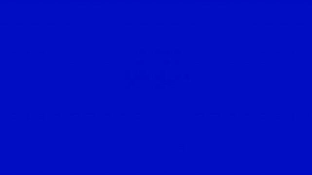 Order successful animation with green check mark in circle and purchase ID on blue background