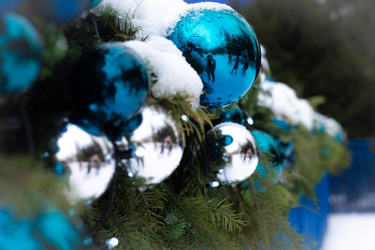 Blue and silver Christmas baubles hanging on a snowy evergreen branch, festive winter decoration, joyful holiday spirit, Christmas.