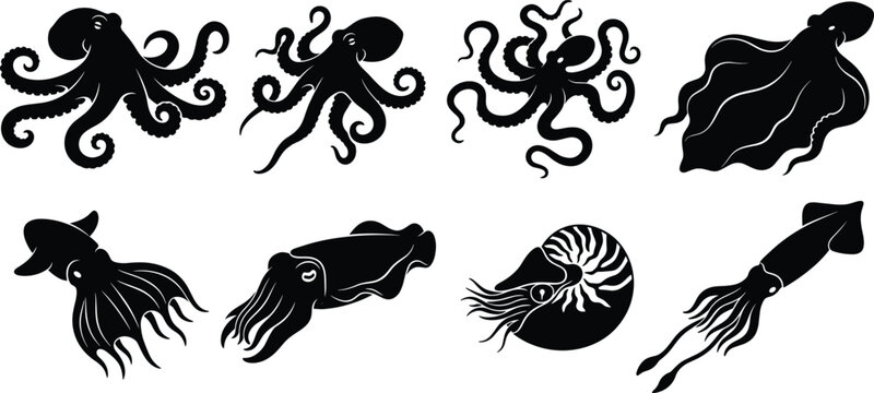 Marine life black silhouette vector icon set featuring octopus squid cuttlefish and nautilus sea creatures