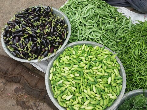 Fresh Eggplants and Ivy Gourd at Local Vegetable Market