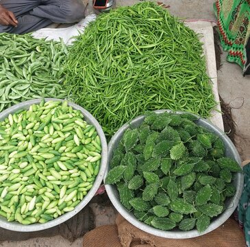 Fresh Green Beans and Bitter Gourd at Open Air Vegetable Market