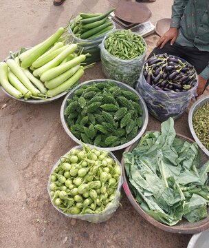 Fresh Bottle Gourds and Assorted Vegetables at Traditional Market