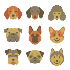 Fototapeta premium Set of Various Dog Breed Face Icons Featuring Flat Vector Illustrations of Popular Canine Characters for Pet Themed Design Projects