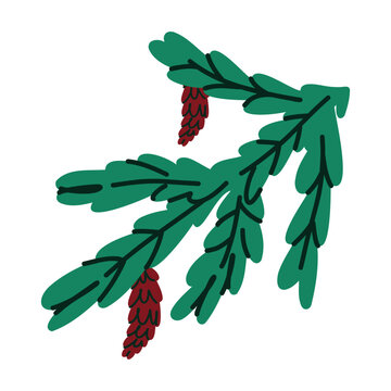 Christmas Evergreen Branch with Pine Cones, Hand Drawn Botanical Illustration for Seasonal Decoration, Greeting Cards and Cozy Winter Design