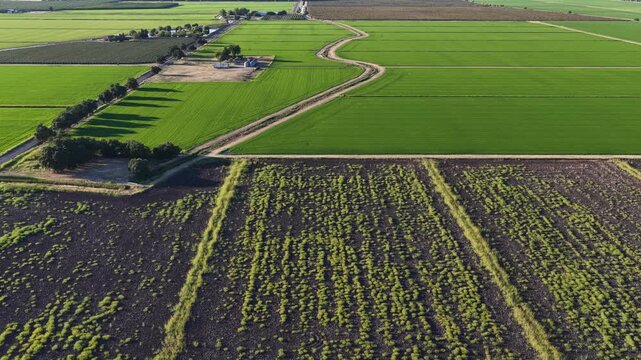 Green agricultural crop fields and tilled soil with dirt paths winding through a rural farm landscape