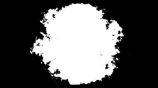 Ink transition splatter blot spreading from centre, black ink watercolor effect on wet white canvas, ink drop effect, alpha layer filter on a white background, paint animation video,4k video