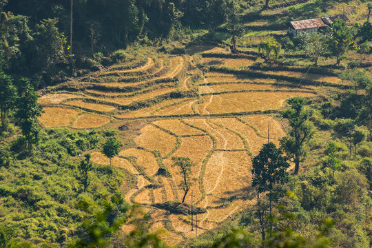 Aerial view of Bhutan - agricultural land , step agriculture, step farming , surrounded by forest and Himalayan mountains. India Bhutan border at Jhalong, North Bengal, Dooars, West Bengal, India.