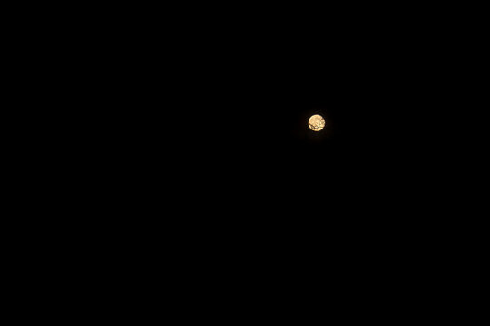 Tree branches in front of full moon