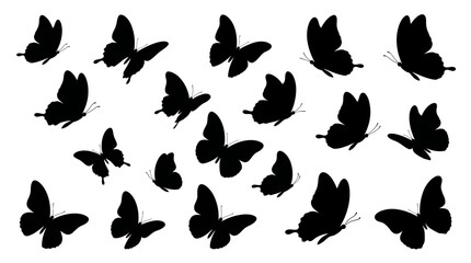 Collection Of Black Butterfly Silhouettes Against A White Background Silhouette © Amena