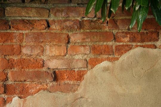Full frame background texture of an old weathered red brick wall partially covered with beige plaster render and fresh green plant leaves framing the top right corner.