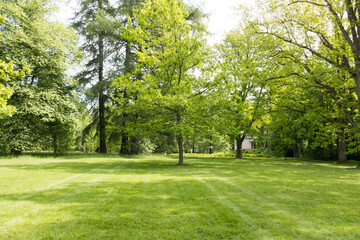 Fototapeta premium A scenic landscape view of historic Herttoniemi Manor Park in Helsinki, Finland, featuring sun-drenched paths, majestic old deciduous trees, and lush green lawns under a bright summer sky.
