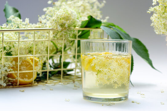 Refreshing homemade elderflower cordial in a glass on white background. Summer infused lemonade with lemon slices, elderberry flowers in a golden basket, copy space