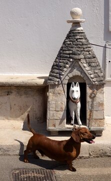 Alberobello trulli