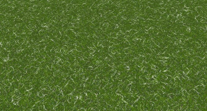 Close-up view of green grassy texture with natural speckles