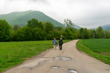 Obraz premium Two mature women practice Nordic walking along a quiet country road surrounded by green fields and forested mountains. Low clouds, fresh spring foliage and wet pavement create an active lifestyle and 