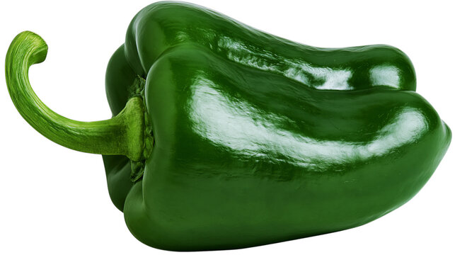 A vibrant green bell pepper isolated on a transparent background, showcasing its fresh produce appeal for culinary and healthy eating concepts
