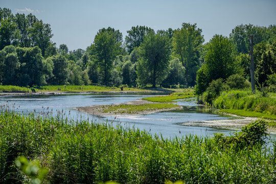 Flusslandschaft mit B&auml;umen und Ufervegetation im Sommer