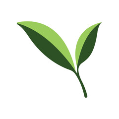 Fototapeta premium green leaf creative abstract modern logo