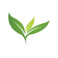 Fototapeta premium green leaf creative abstract modern logo