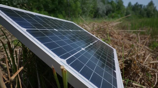 A compact photovoltaic solar panel sits angled among green grass and dry stalks in an open field. The system supports distributed power generation and localized renewable energy production.