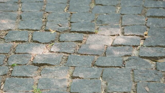 The camera shows a close view of a cobblestone path in a city park. Sunlight hits the stones, highlighting the spaces between them. Leaves are scattered on the ground.