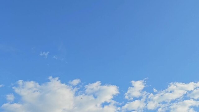 Curious altocumulus clouds moving in the sky at sunset