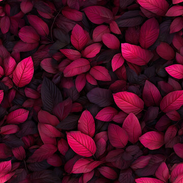 Vibrant Bloodleaf Plant Leaves Background Seamless Pattern