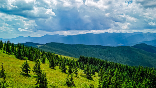 Vast panorama of evergreen hills spreads toward misty horizons under a dramatic sky. Sun and shade ripple across open grassland where small pines rise along gentle slopes.