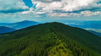 Obraz premium A narrow ridge of fir tops guides the view toward blue peaks. The trail of trees divides lush greens under a billowing sky capturing the spirit of wild highlands and freedom.