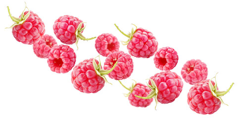 Obraz premium Ripe raspberries floating in air, isolated on transparent cutout background