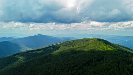 Fototapeta premium A wave like ridge of conifers catches a window of light beneath a brooding sky. Blue mountains stack along the horizon and the broad view breathes with green energy after summer rain.