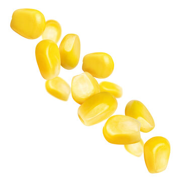 Yellow corn kernels floating in air, isolated on transparent cutout background