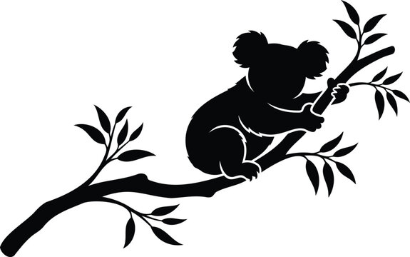 Black and white of a koala clinging to eucalyptus branches leaves
