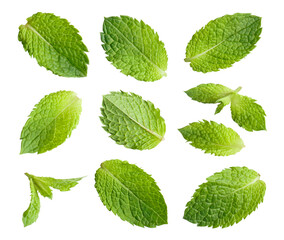 Set of fresh mint leaves, isolated on transparent cutout background © Yeti Studio
