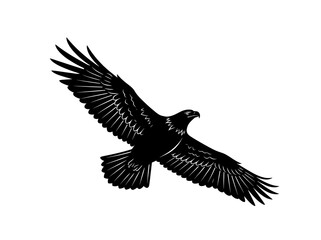 Fototapeta premium Eagle silhouette flying with spread wings, black bird of prey icon on white background, majestic hawk or falcon soaring in the sky