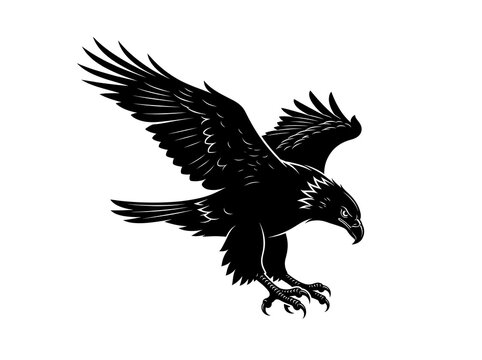 Majestic eagle silhouette in flight, black hawk bird of prey illustration, powerful soaring eagle icon on white background, predatory bird graphic