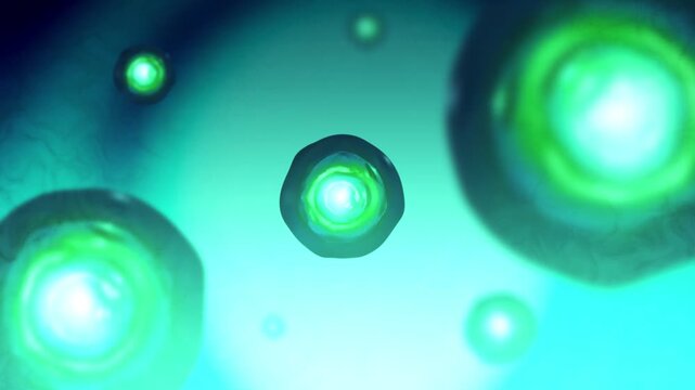 Cyclosporiasis or Cyclospora Bacteria floating in Microscopic Environment