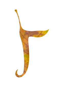 Autumn leaf letter J typography isolated on transparent PNG background for eco branding and seasonal fall poster design