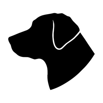 Minimalist black Labrador Retriever dog head silhouette in side profile, a bold graphic shape isolated on a pure white background. Simple pet design concept