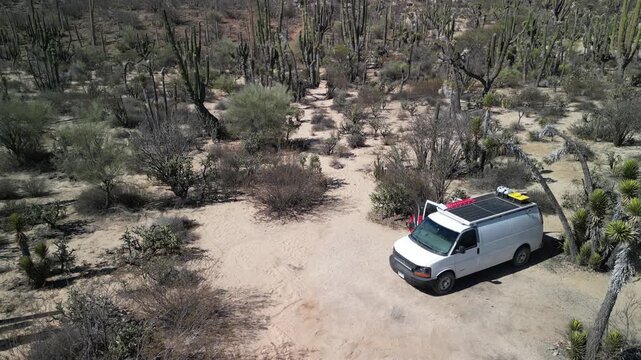 Aerial drone flyover shot of the beautiful desert wilderness in Baja California Sur, sweeping over giant cardon cacti and two cars parked off-road, with a stunning backdrop of rugged mountains
