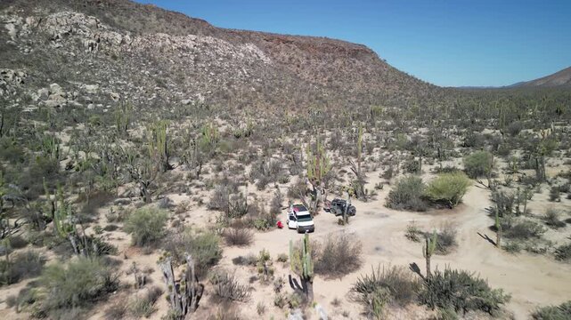 Aerial drone flyover shot of the beautiful desert wilderness in Baja California Sur, sweeping over giant cardon cacti and two cars parked off-road, with a stunning backdrop of rugged mountains
