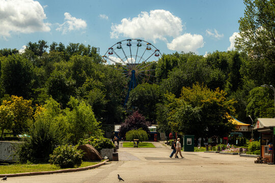 Ferris wheel rising above green trees in Taras Shevchenko Park in Dnipro