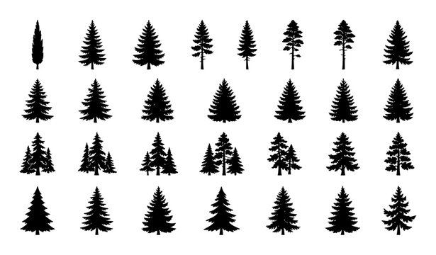 Minimal Evergreen Pine Tree Silhouette Vector Pack with Woodland Forest Conifer Shapes for Winter Nature Designs