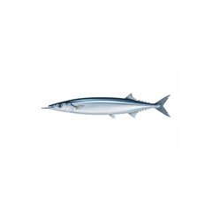 Fototapeta premium Pacific Saury Illustration
