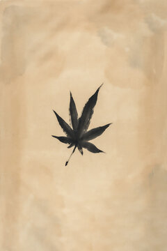 Black cannabis leaf silhouette against neutral background