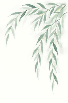 Graceful willow branches with long leaves