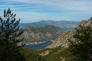 Obraz premium Scenic mountain viewpoint overlooking blue bay, coastal town and rugged rocky peaks framed by pine trees in Montenegro